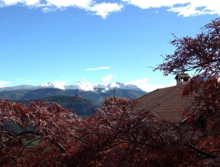 Millenniumshof Apartment Caldaro Bagian luar foto