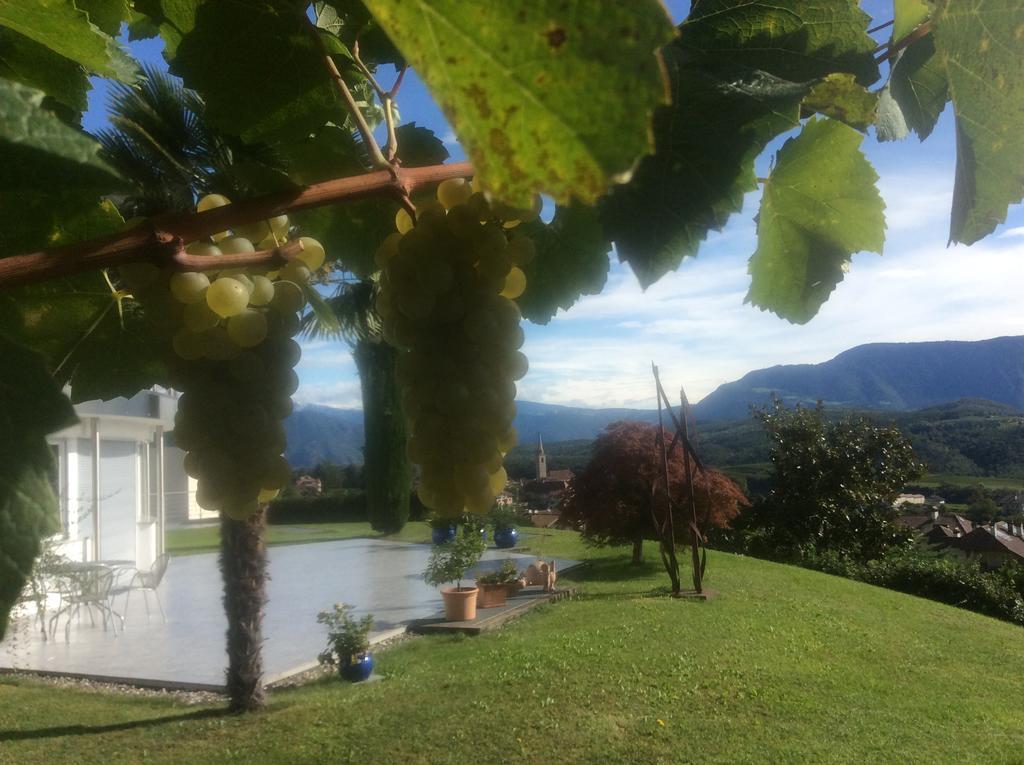 Millenniumshof Apartment Caldaro Bagian luar foto